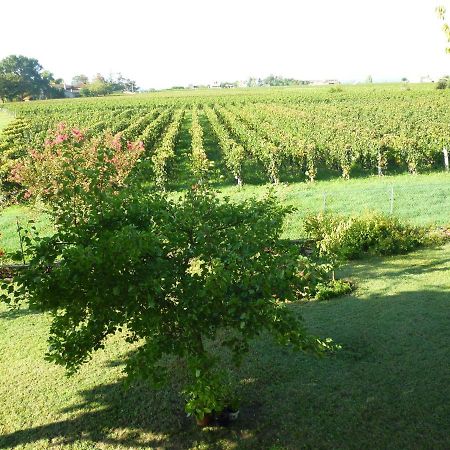 Le Clos Des Rosiers Saint-Emilion Bagian luar foto