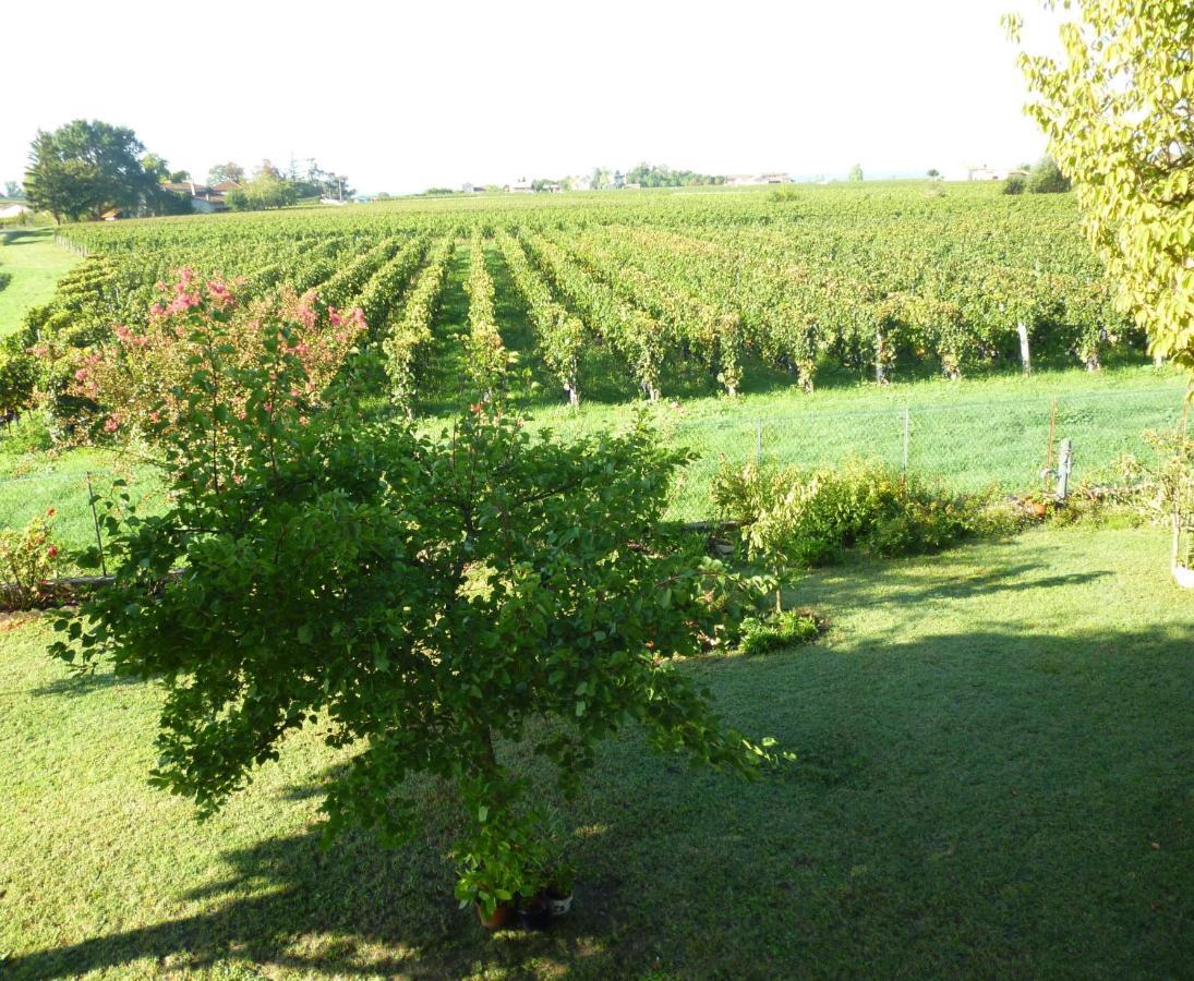 Le Clos Des Rosiers Saint-Emilion Bagian luar foto
