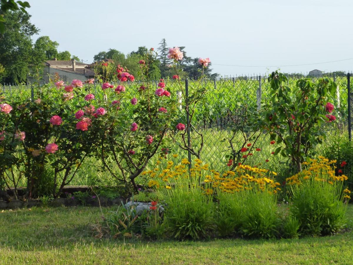 Le Clos Des Rosiers Saint-Emilion Bagian luar foto