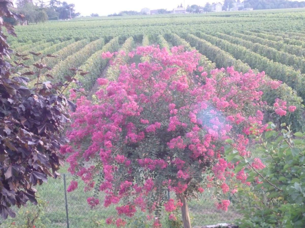 Le Clos Des Rosiers Saint-Emilion Bagian luar foto